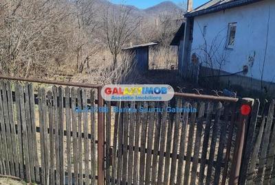 Apartament cu 4 camere în Costeni - 2