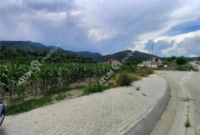 De vanzare 733 mp in Boita Sibiu - 6
