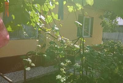 Casa de vanzare