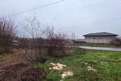 Teren de 5000 mp, în 1 Decembrie - 2