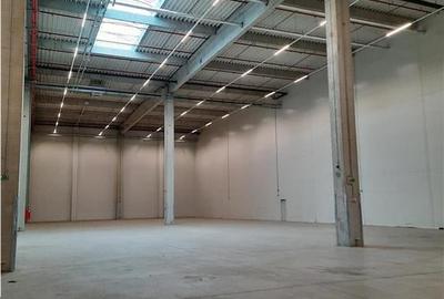 Spatiu Industrial - 7500 mp - Logistica - Productie - Depozitare - Distributie - 9