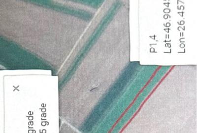 8800 mp Dumbrava Roșie, Neamț - 2