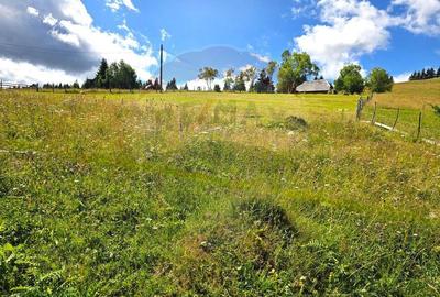 Teren de vis in Fundata 1934mp sau 3868mp, la inal?im... - 8