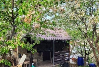 Casă cu 4 camere cu Teren 500 Mp în Central - 8