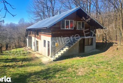 Casă cu 3 camere cu Teren 9815 Mp în Valea Iașului - 1