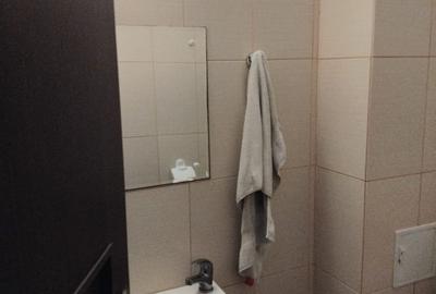 Apartament cu 3 camere decomandat în Far - 10