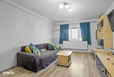 Apartament cu 2 camere decomandat, mobilat în Micălaca - 12