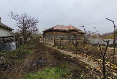 Casă cu 4 camere cu Teren 1634 Mp în Teslui - 5