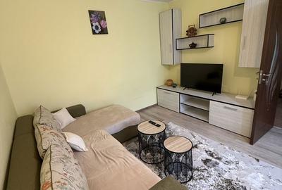 Apartament cu 2 camere decomandat în Baba Novac - 8