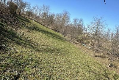 Teren de 960 mp, în Ambud - 3