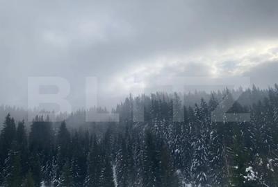 Casă cu 4 camere cu Teren 1096 Mp în Central - 8