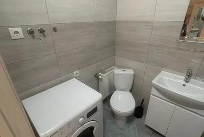 Apartament cu 1 camera in zona Mehala - 2