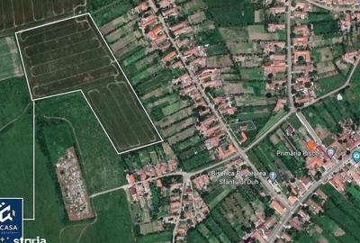 Spațiu comercial, în Pișchia