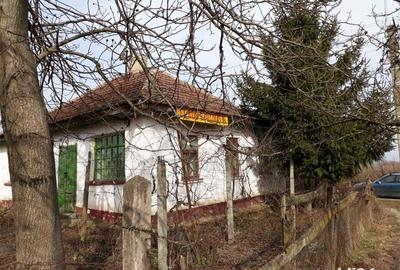 Casă cu 2 camere cu Teren 2300 Mp în Galoșpetreu - 1