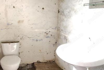 Casă cu 2 camere cu Teren 1400 Mp în Cheșa - 3