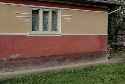 Casă cu 2 camere cu Teren 30000 Mp în Calna - 1