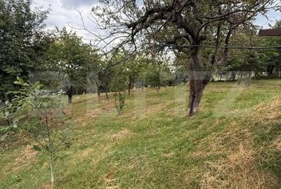 Casa etaj, 140 mp utili, 4800 mp teren, Adancata - 5