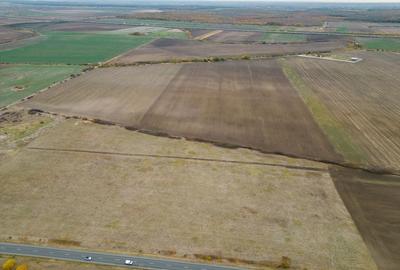 Teren 22.500 mp - Pecica, jud. Arad - 3