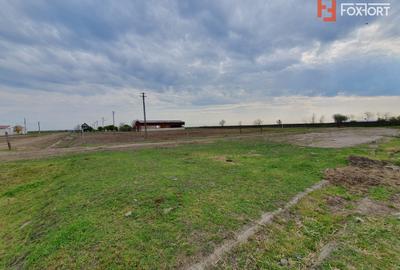 Teren Construcții intravilan de 58340 mp, în Sânmartinu Sârbesc - 25