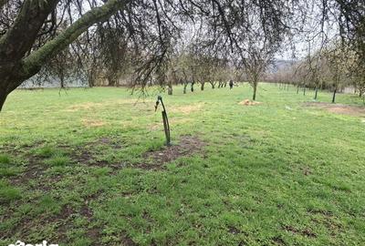 Teren de 5854 mp, în Tătărani - 4