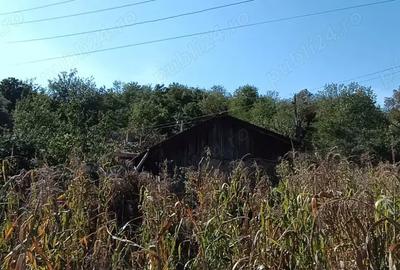 Casa de vanzare ideala pentru cei care cauta liniste, aer curat si confort rural - 9