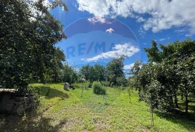 Casa str. Progresului , Sebes, destinatie : uni/multifam... - 24