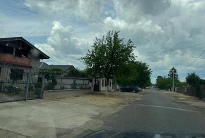 Teren intravilan de 8000 mp, în Adunații-Copăceni - 16
