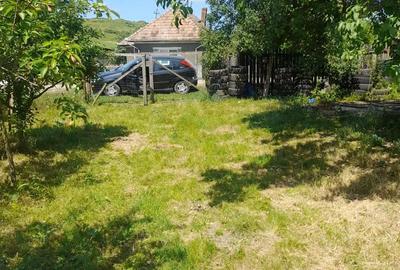 Teren de 2300 mp, în Borșa - 3