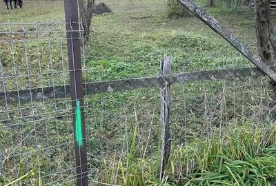 Teren intravilan 2.050 mp Comuna Izvoarele, jude?ul Prahova - 4