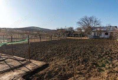 Casă cu Teren 820 Mp în Voinești - 12