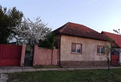 Casă cu Teren 1200 Mp în Bocsig - 3