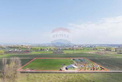 Teren Construcții intravilan de 13300 mp, în Bartolomeu - 5