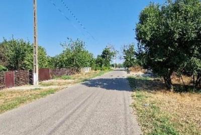 Casă cu 2 camere cu Teren 816 Mp în Curcani - 3