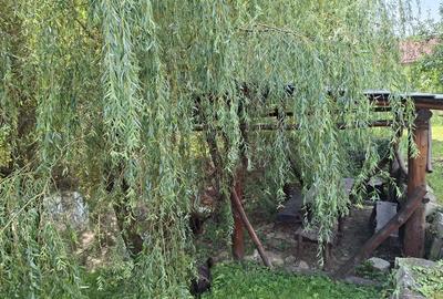 Casa de vanzare cu teren - 10