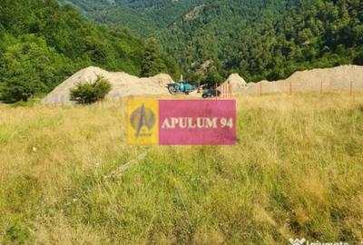 Teren de 744 mp, în Brezoi - 18