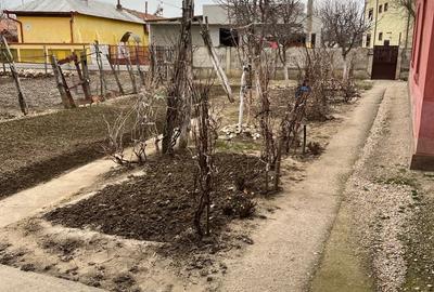 Casă cu 4 camere cu Teren 1337 Mp în Țigănești - 2