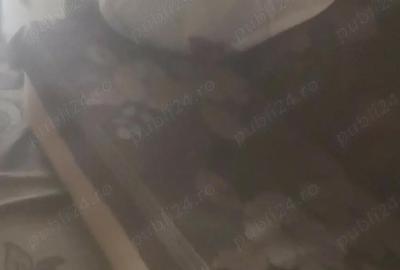 Garsonieră decomandată în Unirii - 7