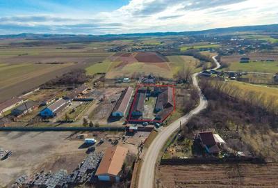 Spațiu industrial, de 820 mp, în Tilecuș - 1