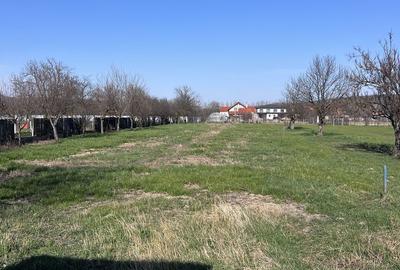 Teren de 2300 mp, în Lugojel - 1