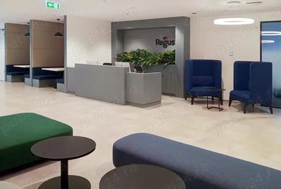 Spa?iu de birou privat pentru 1 persoana in Regus Sun Business Centre - 10