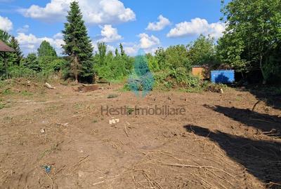 Teren Construcții intravilan de 3236 mp, în Nicolina - 3