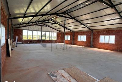 Spațiu comercial, de 220 mp, în Sânmartin - 2