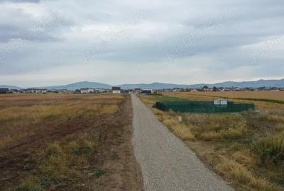 Terenuri cartier Izvor cu bransamente la utilitati Terenuri cartier Izvor cu bransamente la utilitati - 6