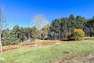 Spațiu comercial, în Poiana Angelescu - 13