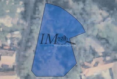 Teren Construcții intravilan de 1116 mp, în Pianu de Sus - 3