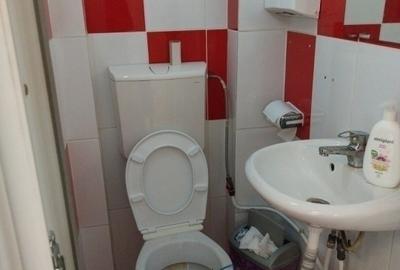 Spatiu Comercial - zona Bucsinescu - Strada Vasile Lupu - 7