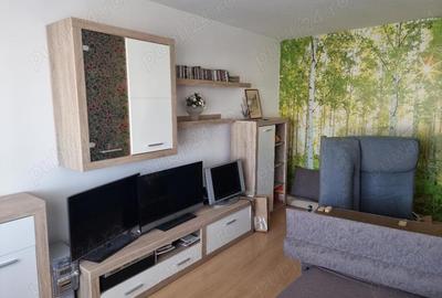 Apartament cu 3 camere în Nufărul - 11