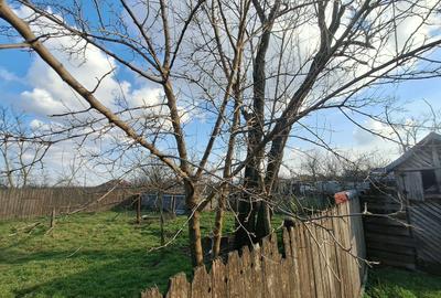 Casă cu 4 camere cu Teren 1638 Mp în Tufești - 1