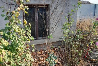 Casă cu 2 camere în Coșoveni - 2