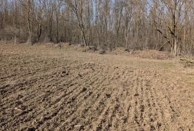 Teren extravilan de 5000 mp, în Fântânele - 1